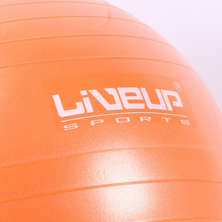 ลูกบอลโยคะ FBT LIVE PRO ANTI-BURST ขนาด 65 ซม. LS3222 รหัส 67372_3